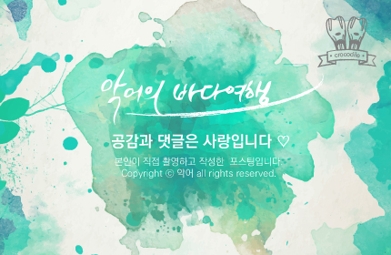플라워스튜디오다발 이미지