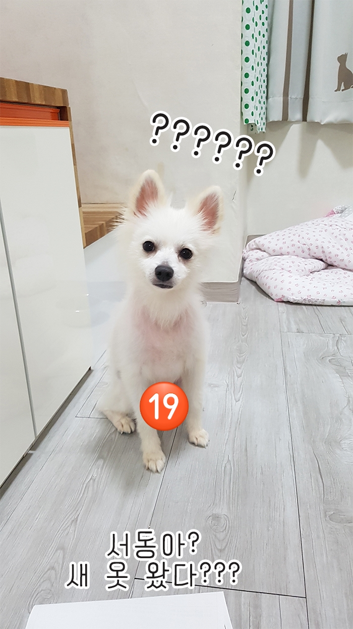 옷.집 이미지
