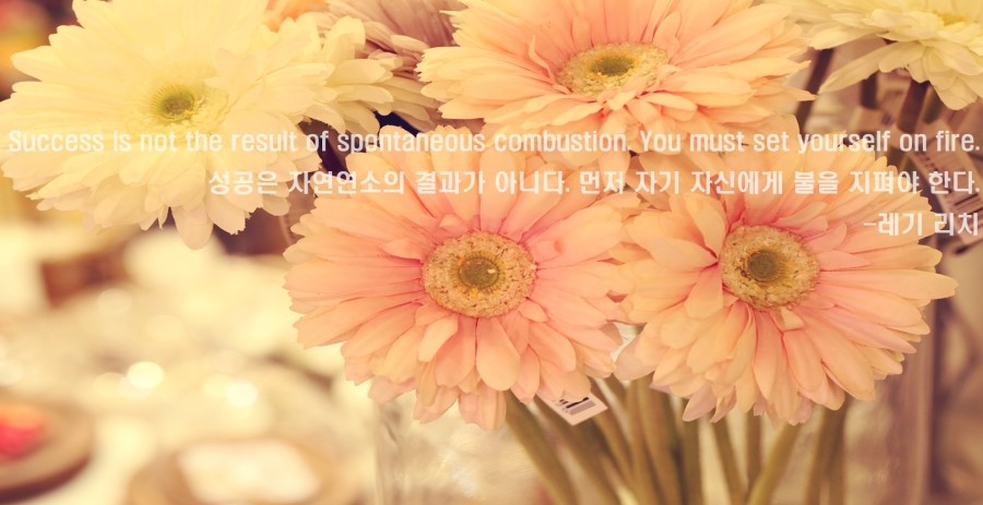 에스지컴퍼니 이미지