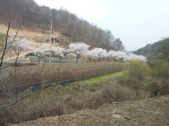 물소리펜션 이미지
