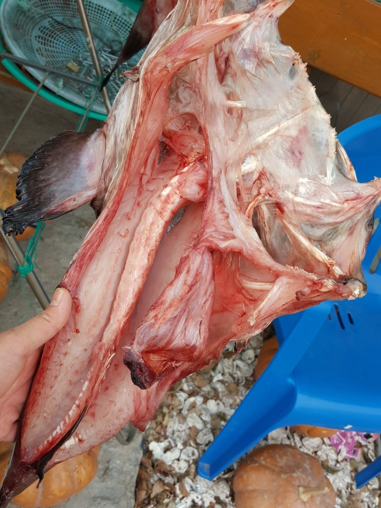 부강수산 이미지