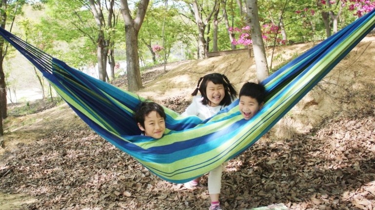 느티숲 이미지