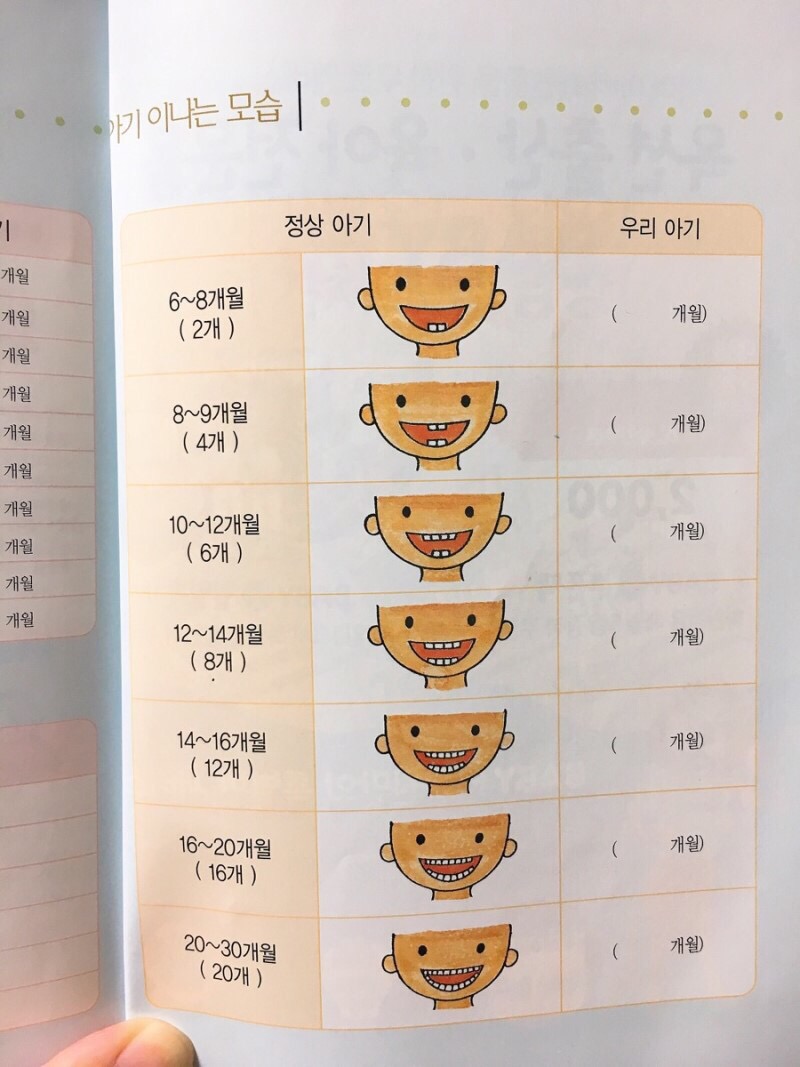 맥시카나 이미지