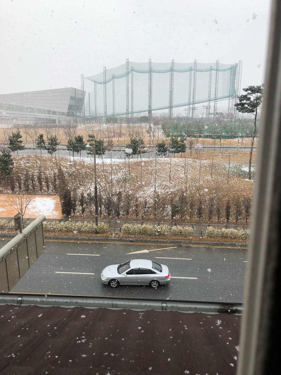 대구생막창구이 이미지