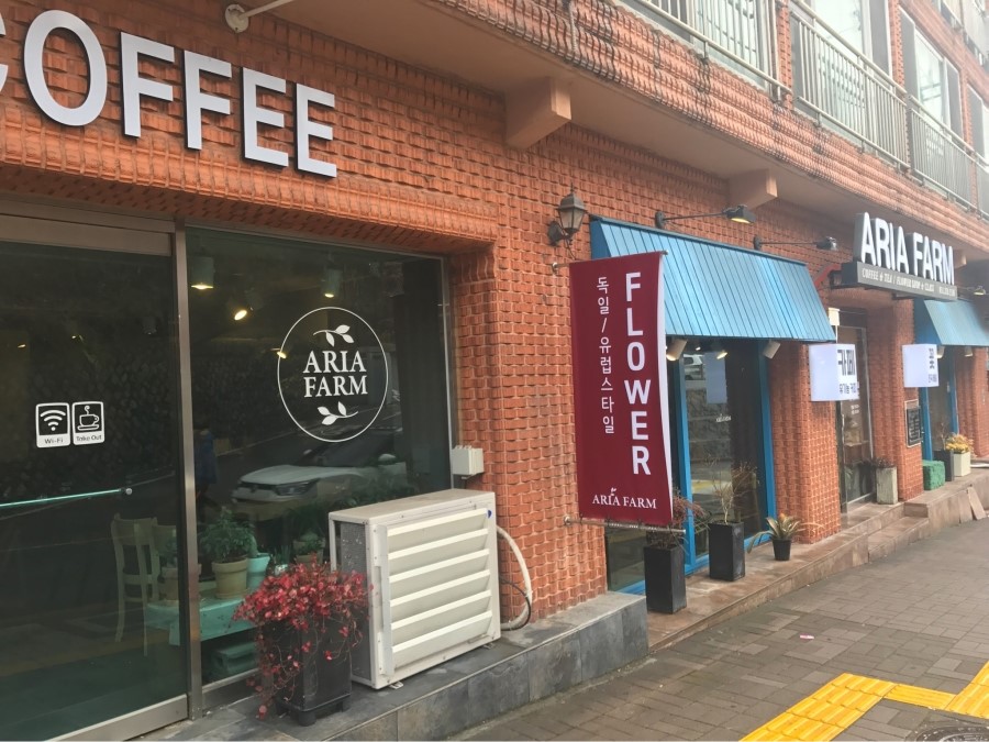 아리아팜 이미지