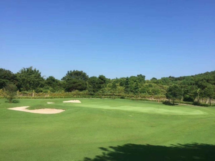 그랜드조경 이미지