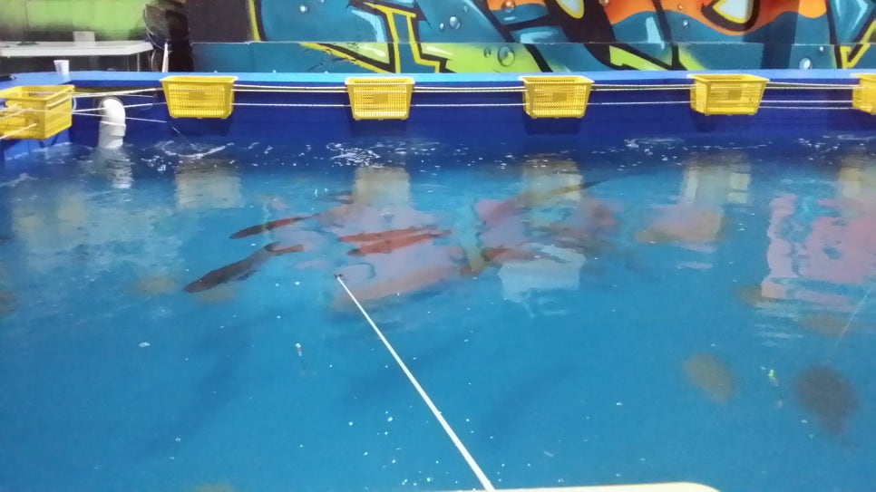 전주실내바다낚시터 이미지
