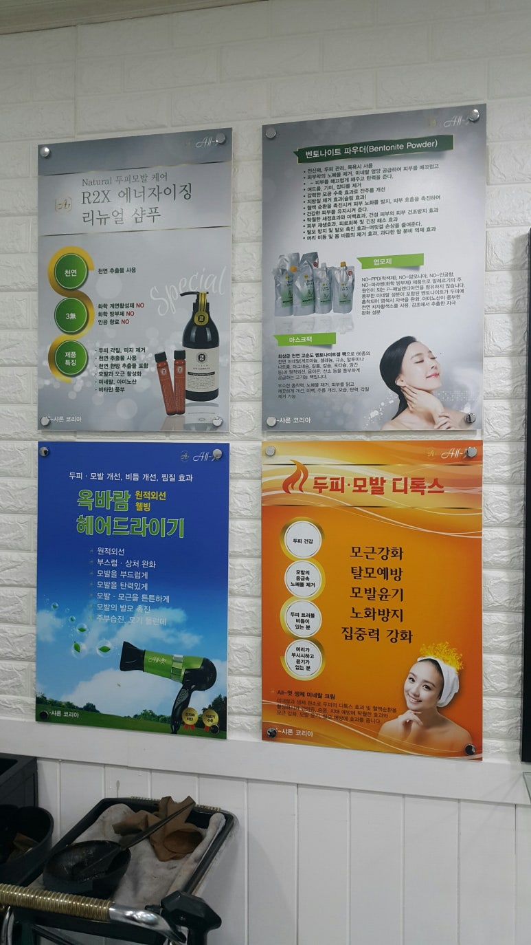 엘샤론코리아 이미지