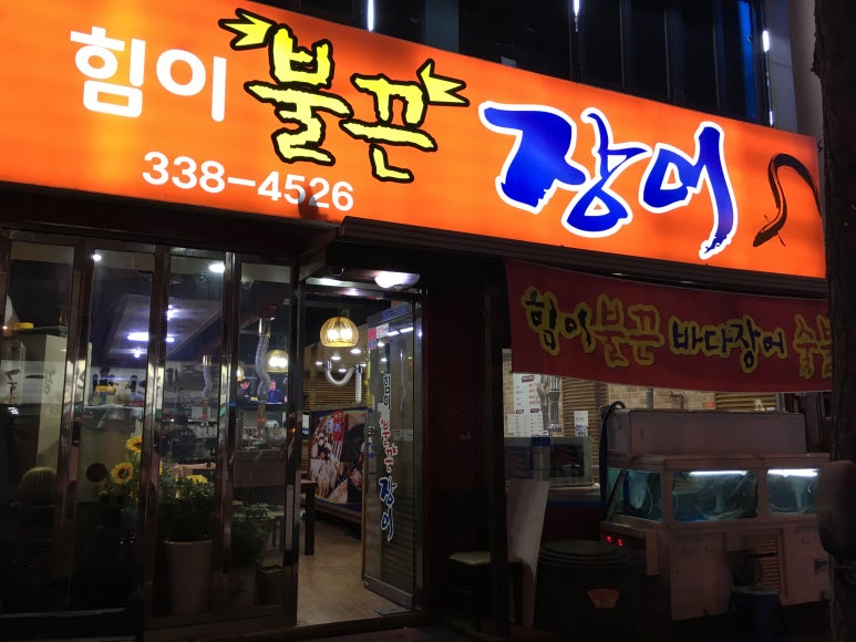 힘이불끈장어 이미지