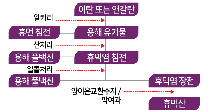 팜가이아 이미지