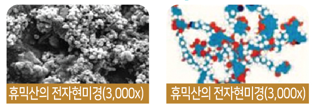 팜가이아 이미지