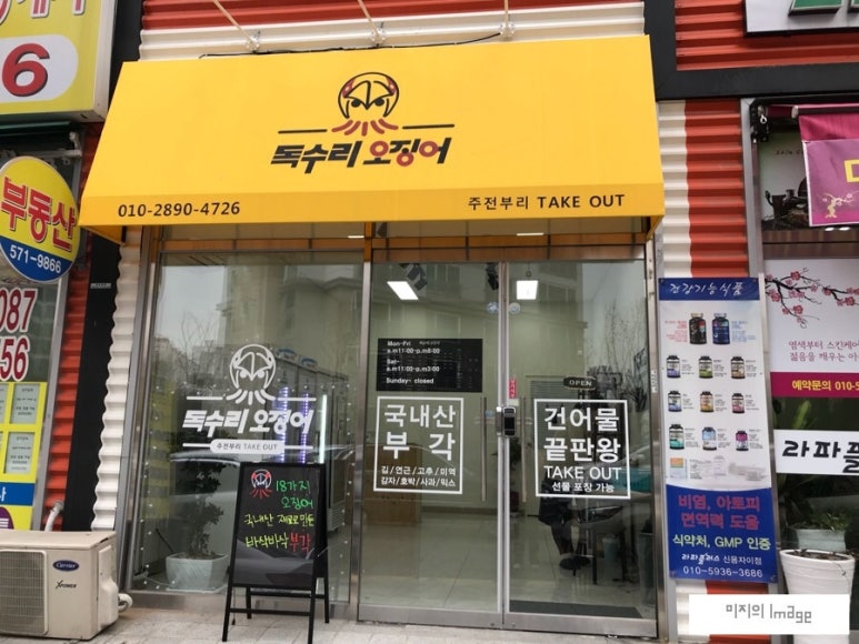 독수리오징어 이미지