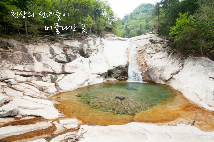 십이선녀탕주유소 이미지