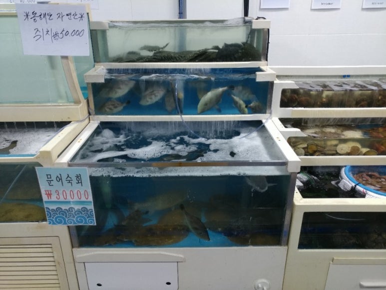 대림수산 이미지