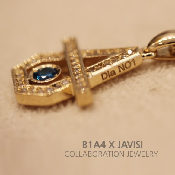 자비시 (JAVISI) 이미지