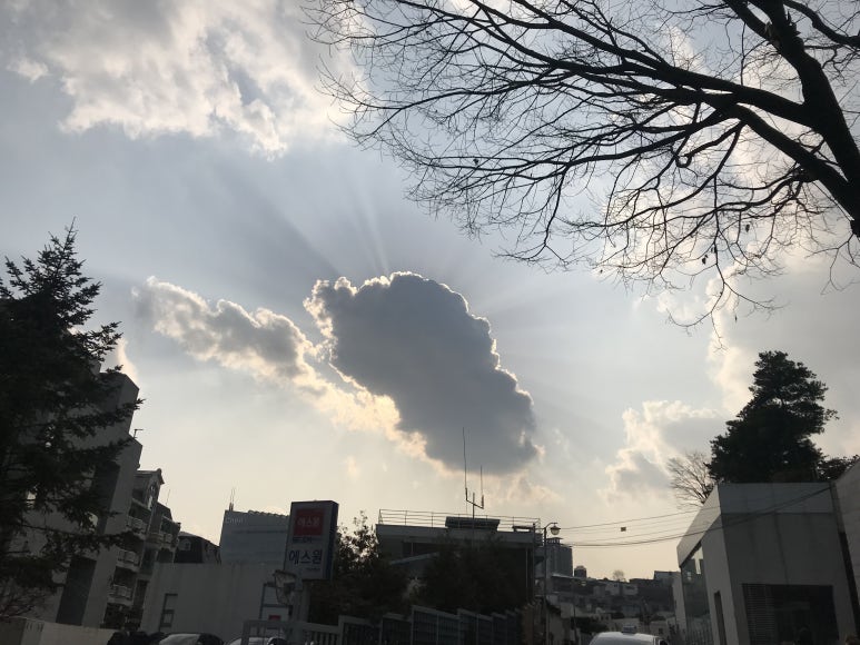 인사이트커피 이미지