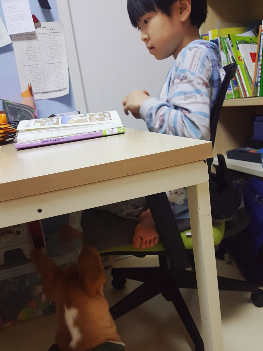 멍편한세상 이미지
