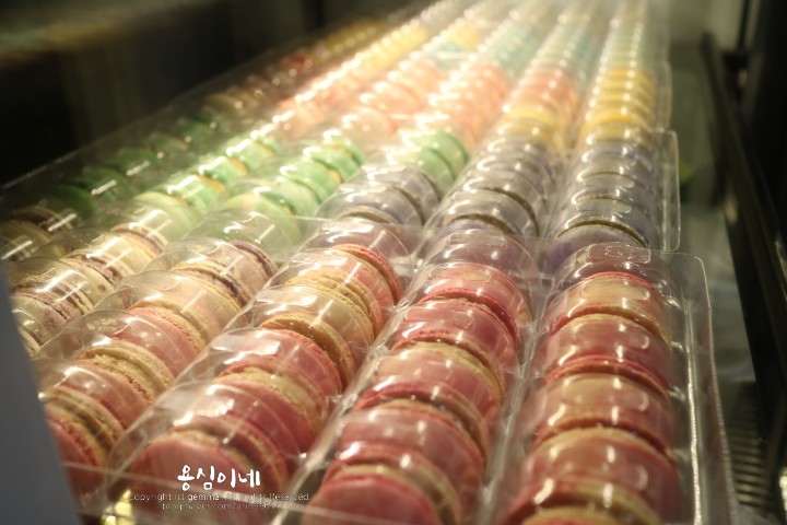 젬마카롱 이미지