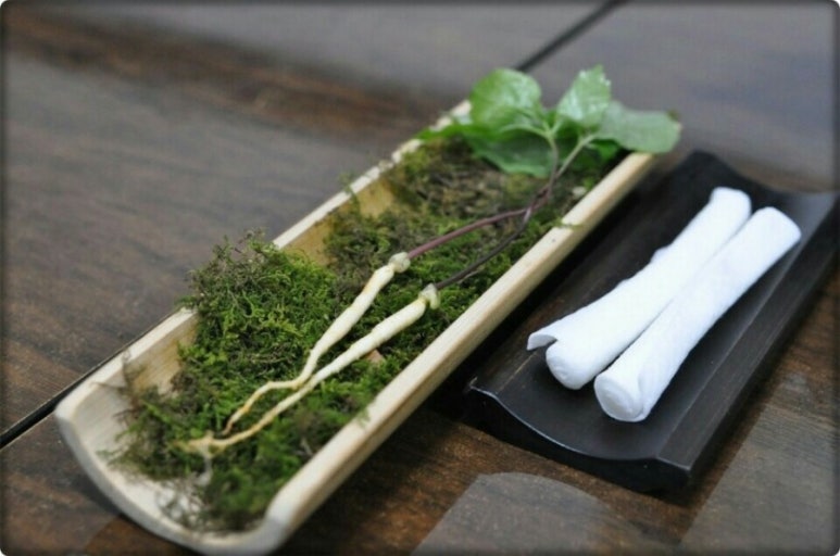 돼지네 이미지