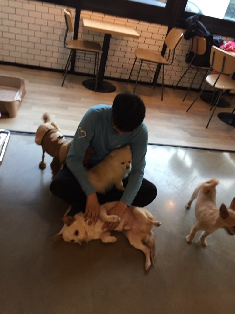 코코드림 이미지