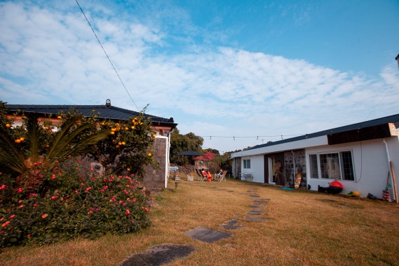 삼달리귤 이미지