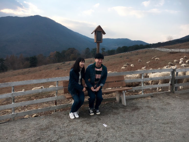 들국화찻집 이미지