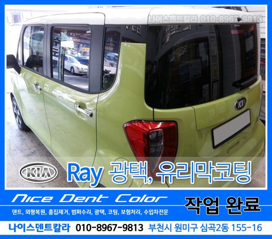덴트칼라 이미지