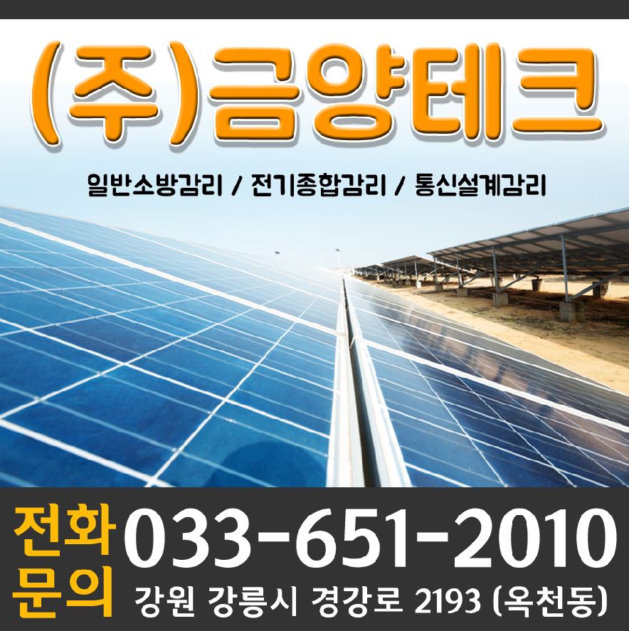 금양테크주 이미지