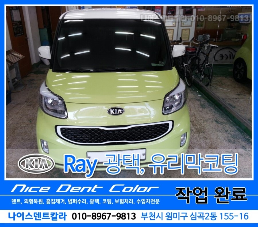 덴트칼라 이미지