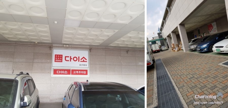 다이소울산옥동점 이미지