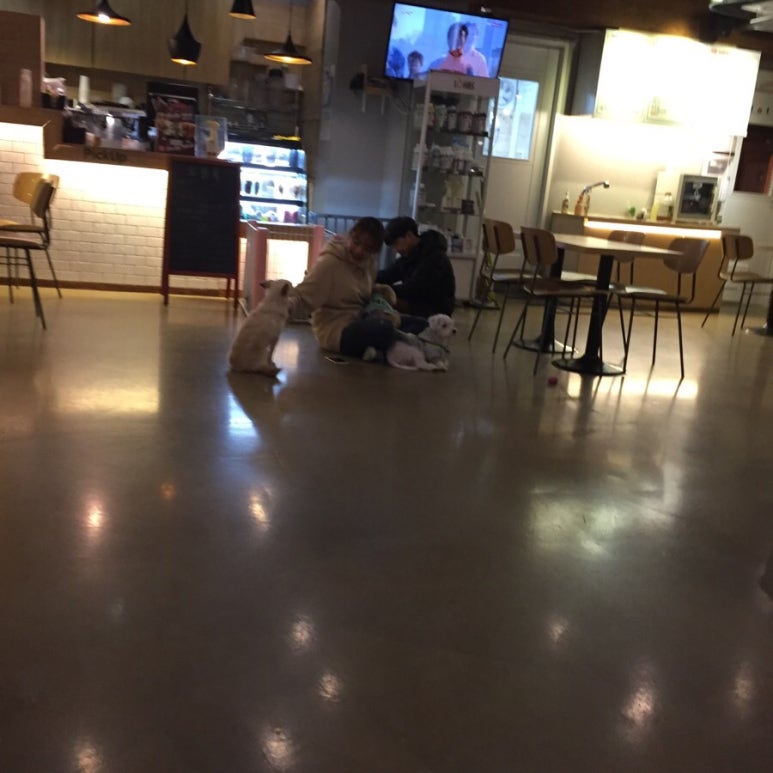 코코드림 이미지
