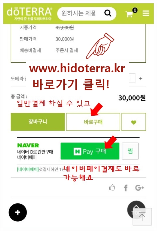 도테라코리아(유) 이미지