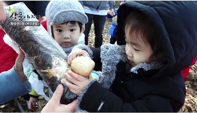 랜드팜법인 이미지