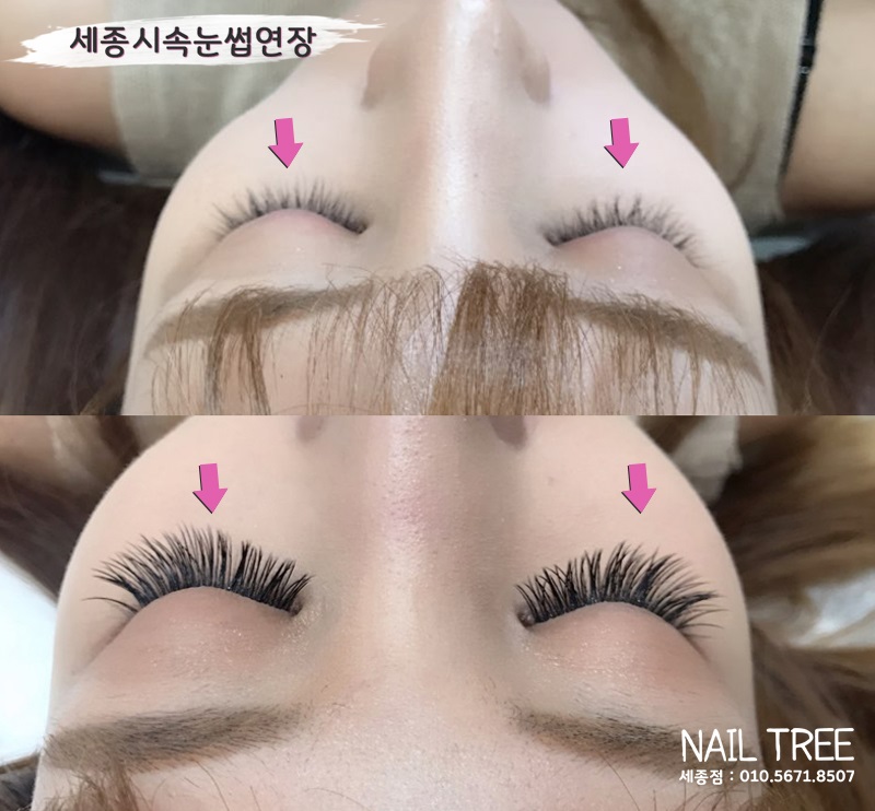 네일트리 이미지