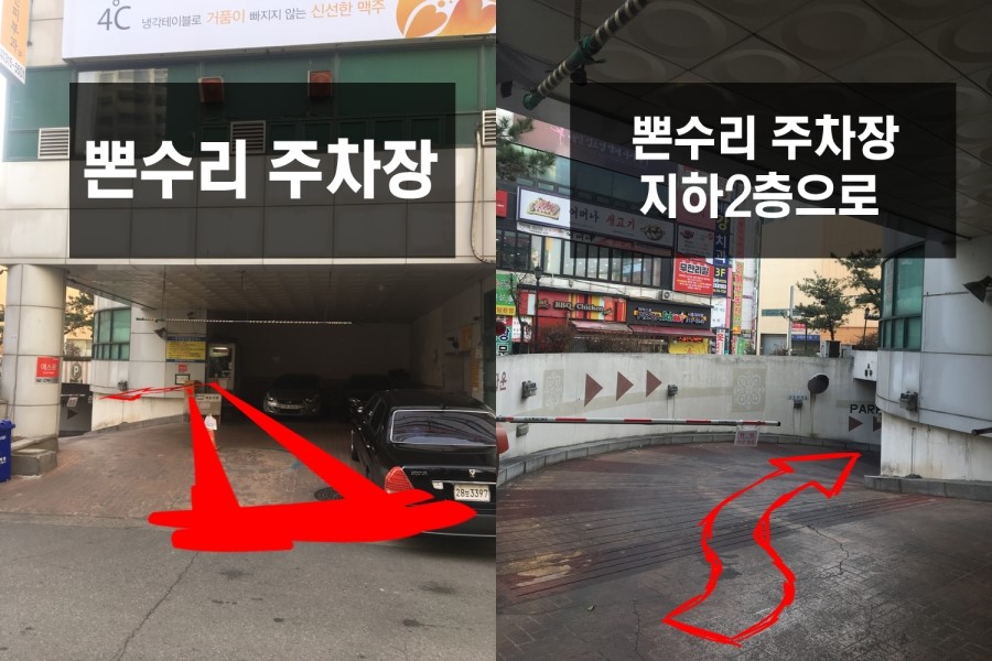뽄수리 이미지
