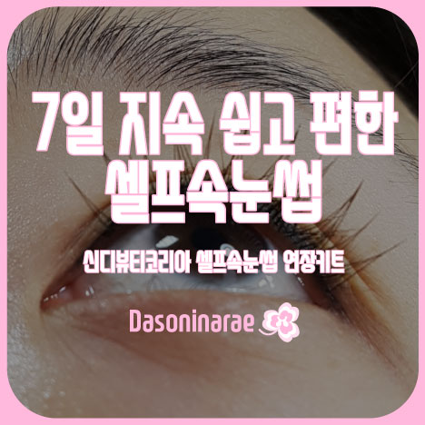 신디코리아 이미지