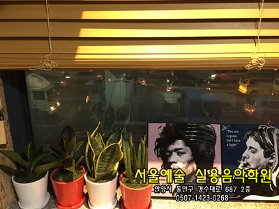 이영훈실용음악학원 이미지