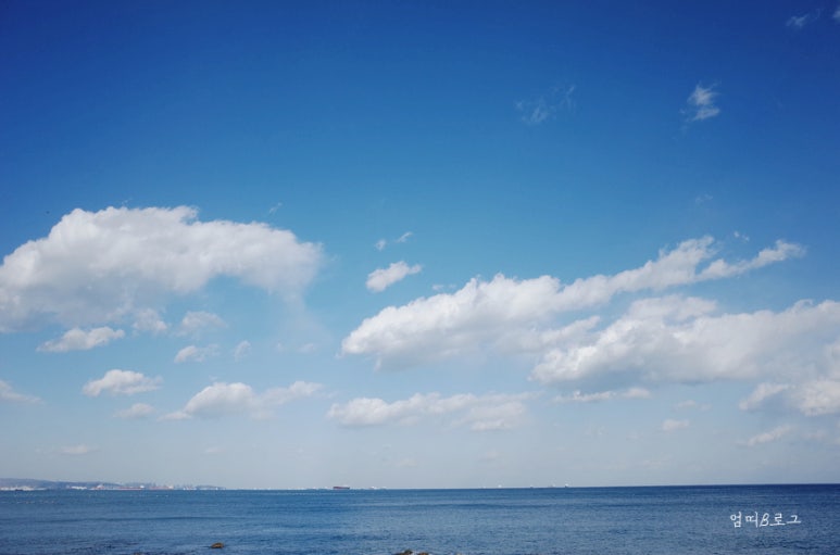 파란풍차 이미지