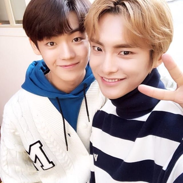 나인플럭스 이미지