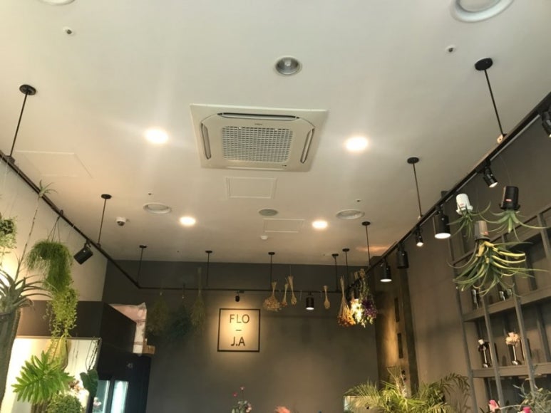 플로정아 이미지