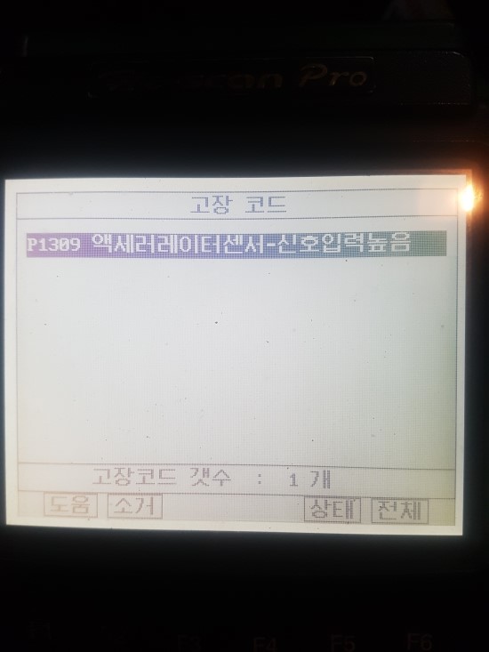 미니게라지 이미지