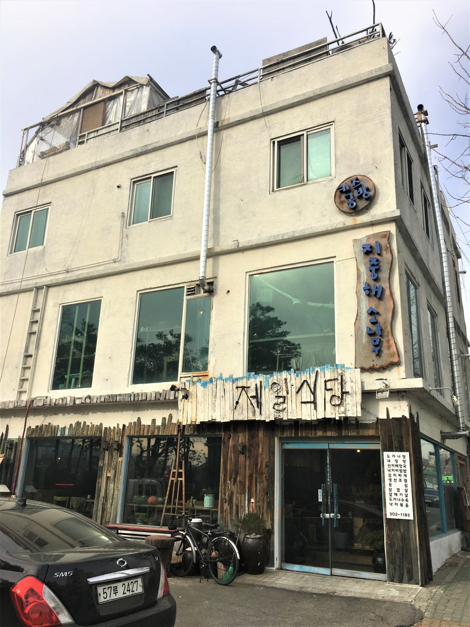 지중해소나무 이미지