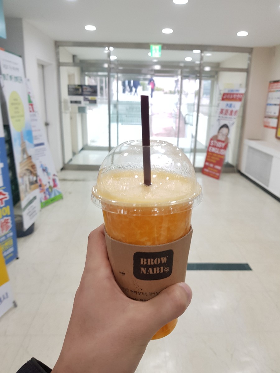 브라우나비 이미지