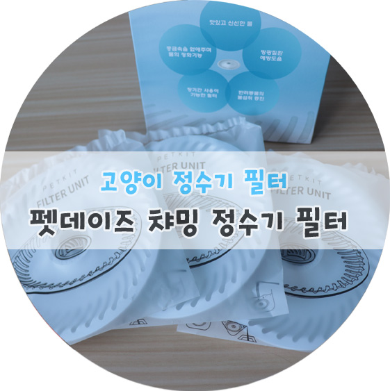네코청소 이미지