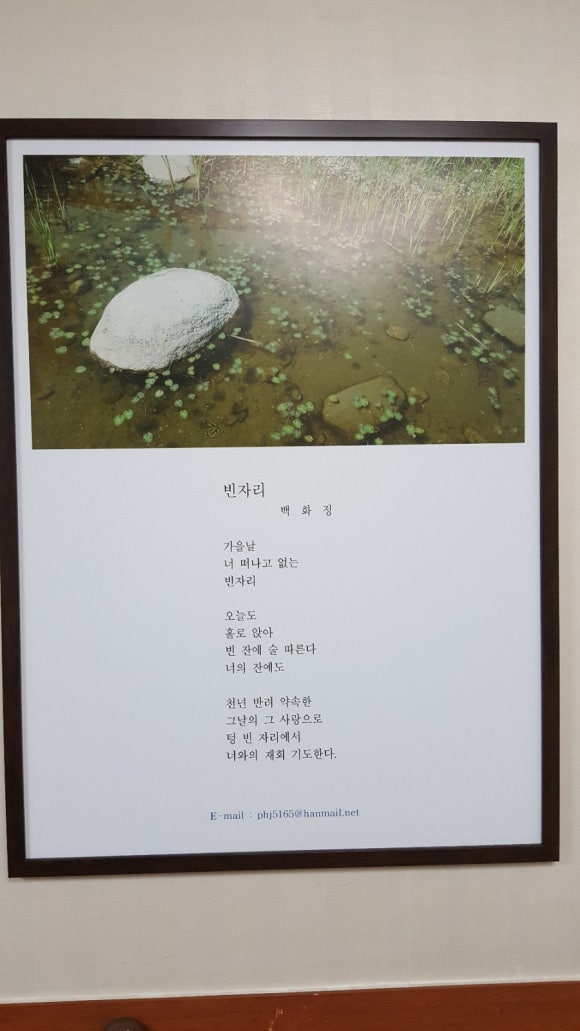 회진포낙지마을 이미지