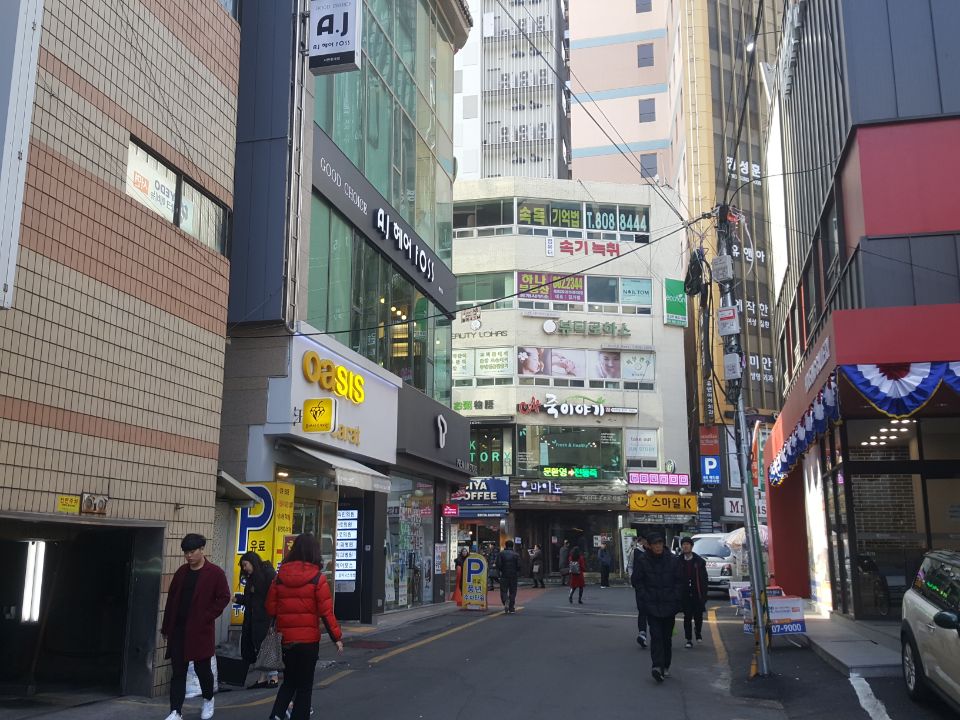 오아시스캐럿 이미지