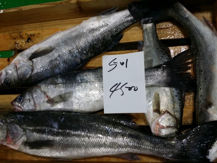 석화카페 이미지