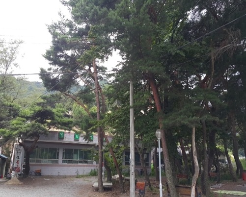 만물종합상사 이미지
