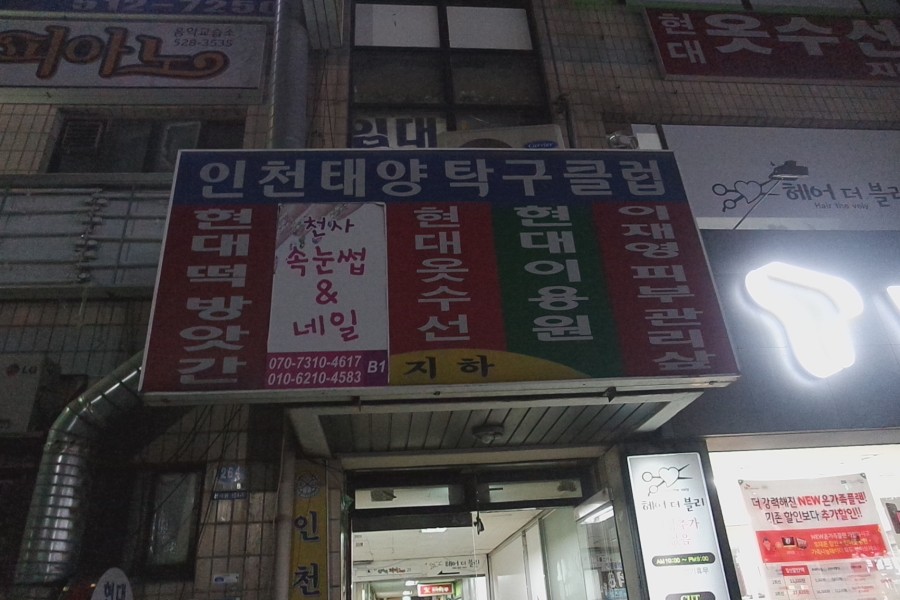 천사속눈썹 이미지