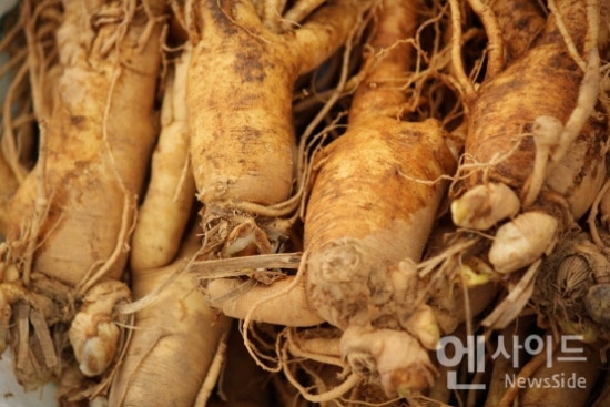 횡성인삼영농조합법인 이미지